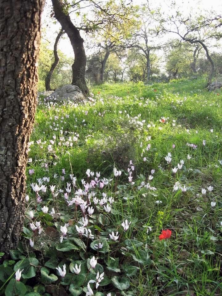 The day we did everything…