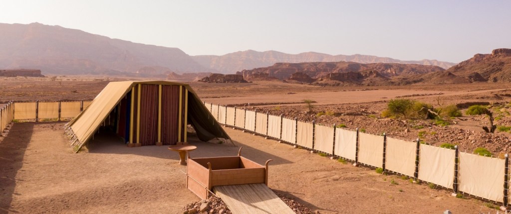 The Continued Adventures…